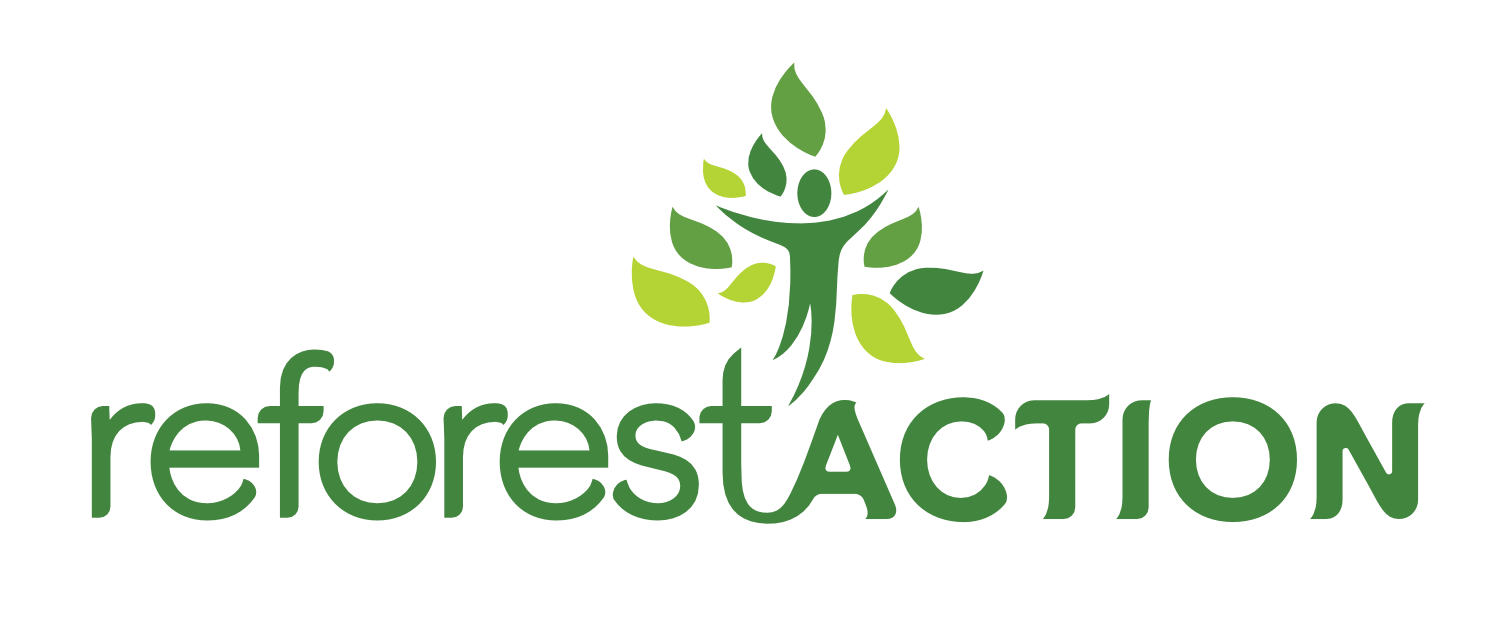 Nature campers Nantes & ReforestAction Nature campers Nantes & ReforestAction