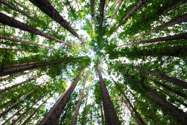 Nature Campers pour la protection de l'environnement.